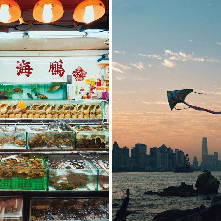Seafood & Kite