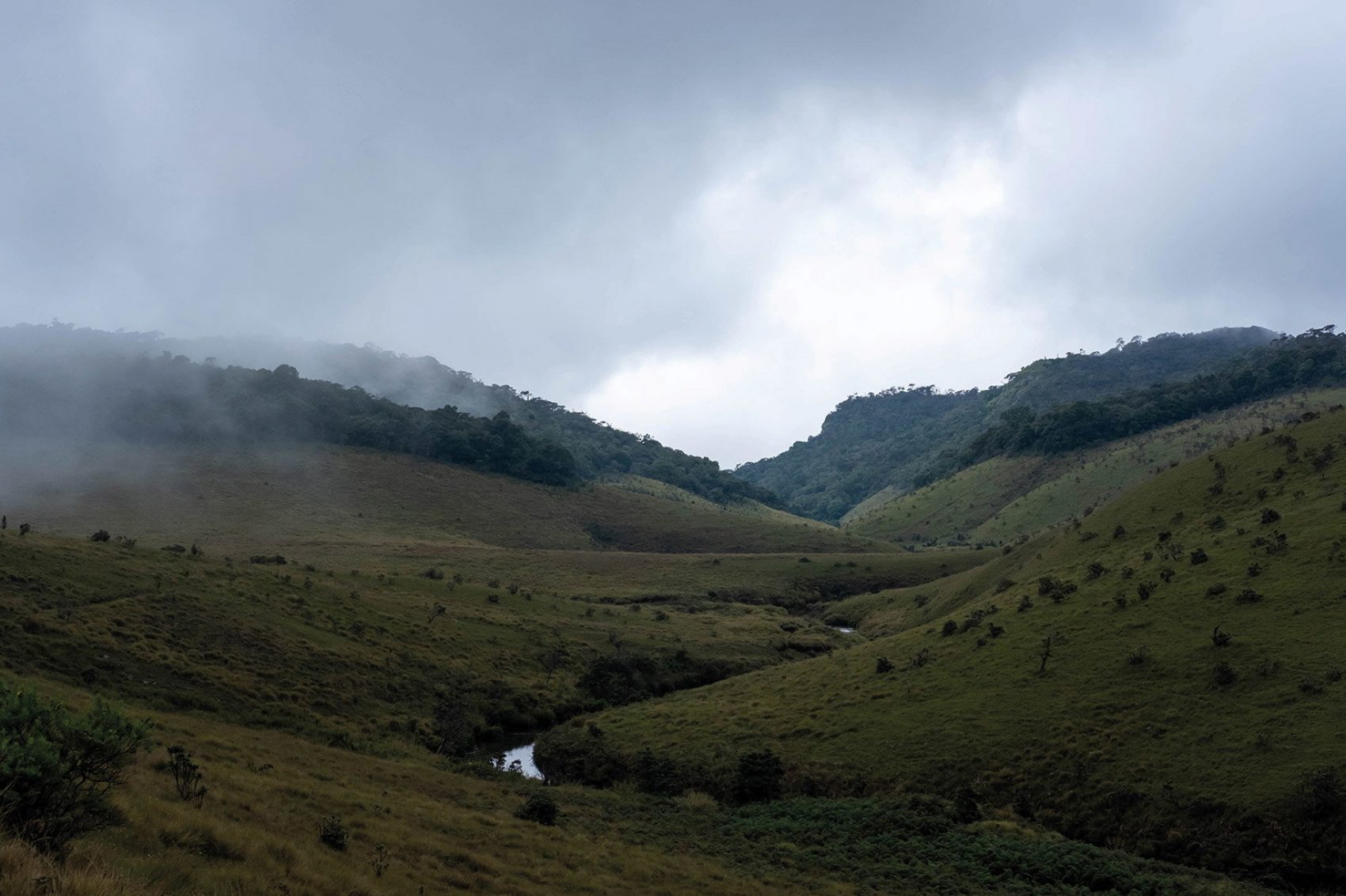  Horton Plains National Park‭ 