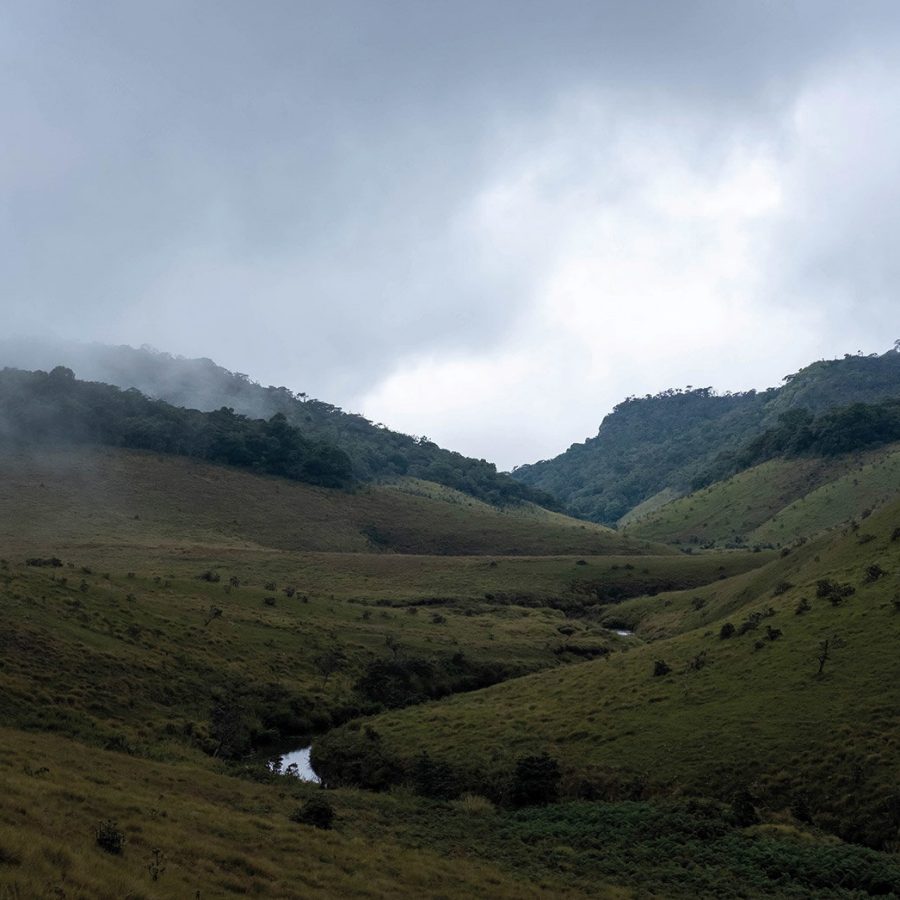  Horton Plains National Park‭ 