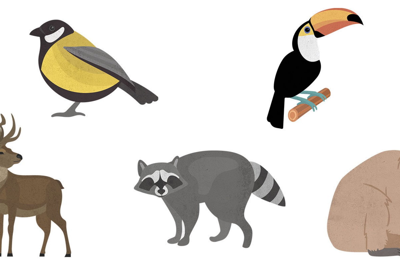 Illustration of land animals
