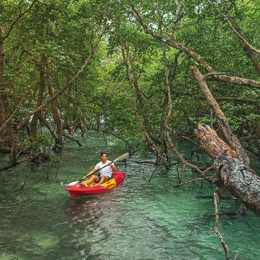 Kayaking on a river in a forest