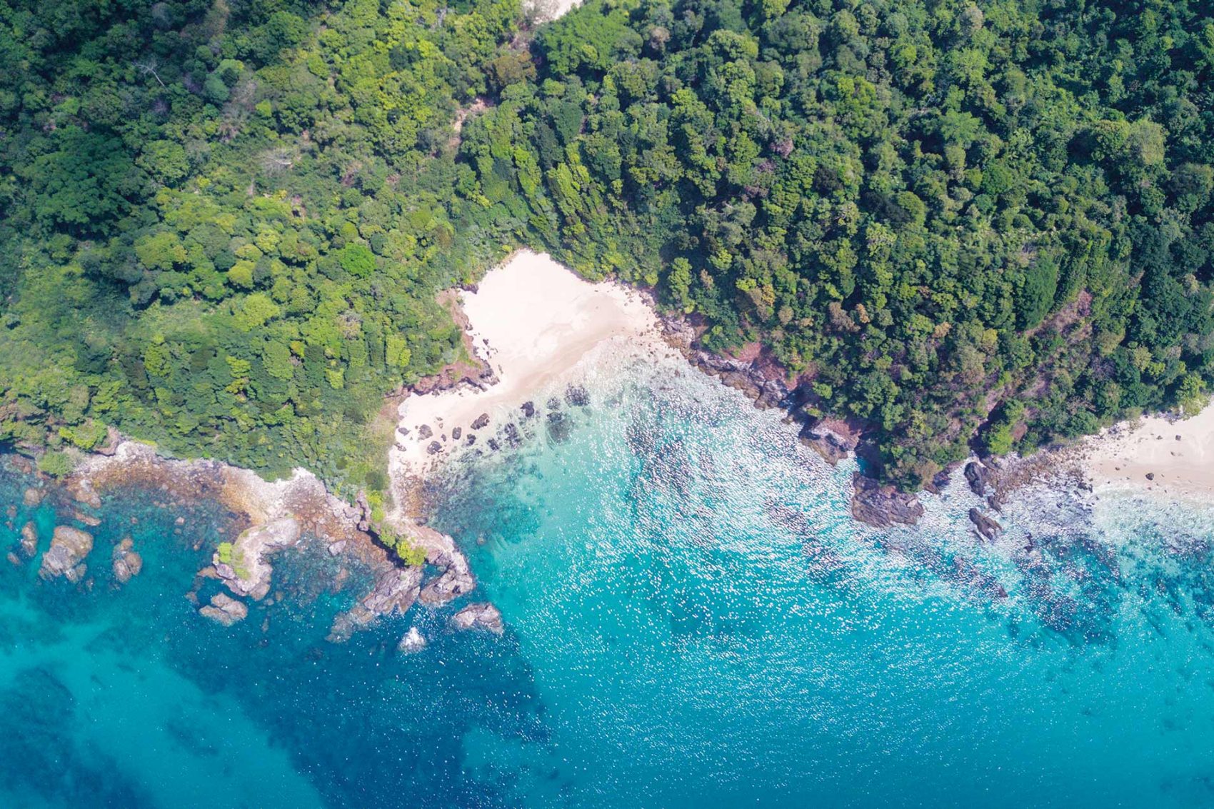 Aerial shot of beautiful blue waters and lush greenery