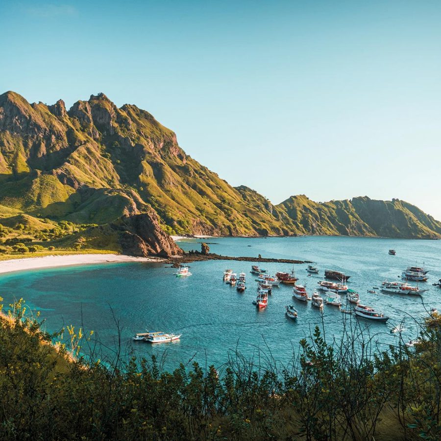 Komodo