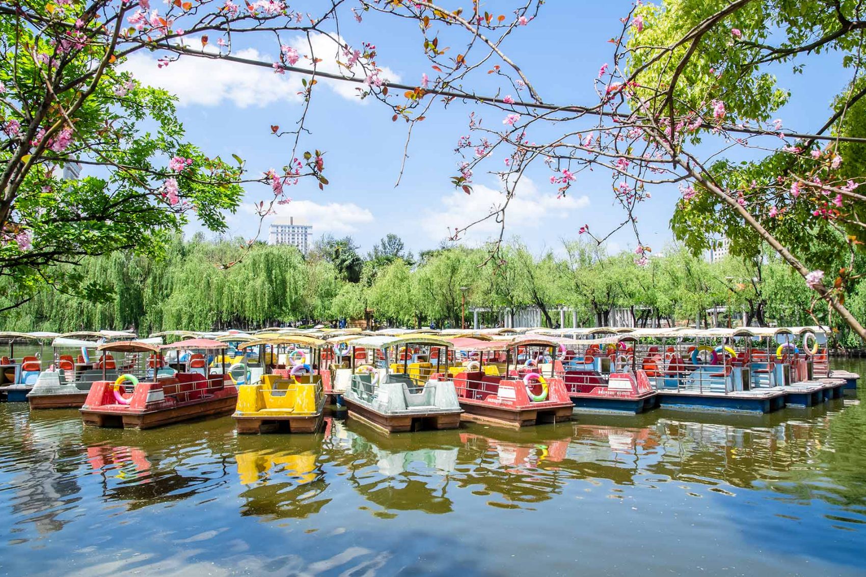 Colourful boats on the water on a sunny day