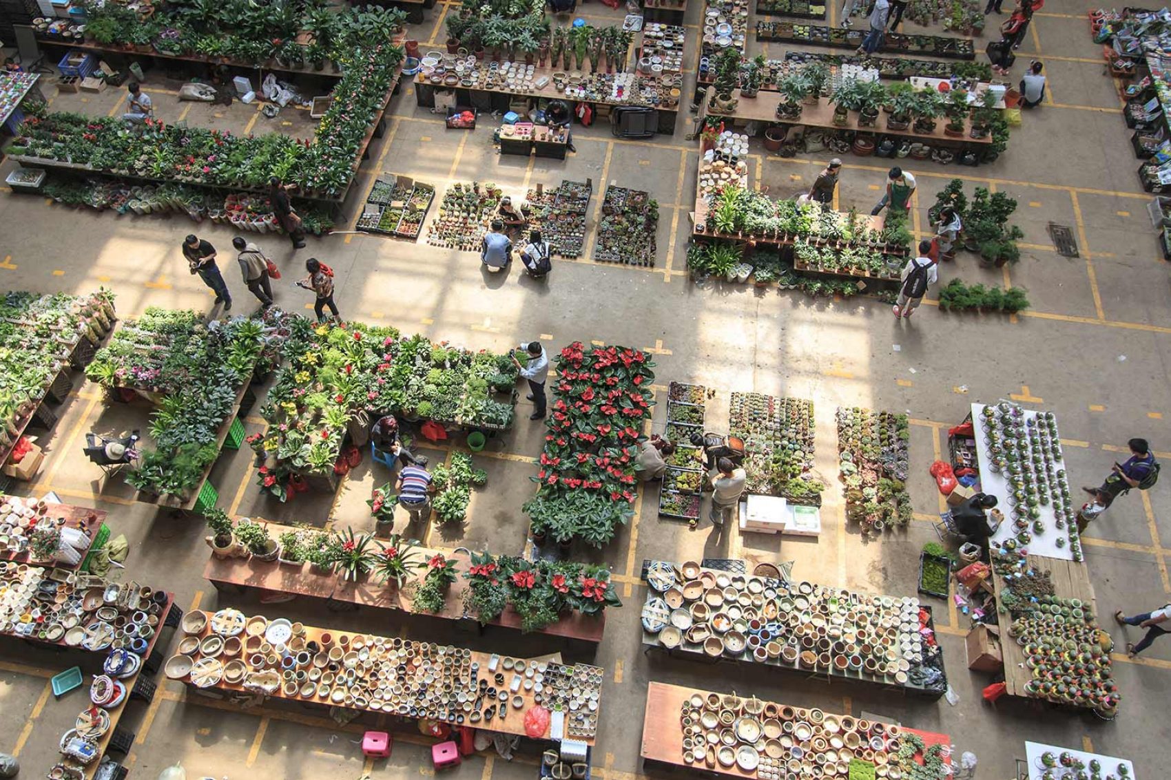 Aerial view of a neat flower market