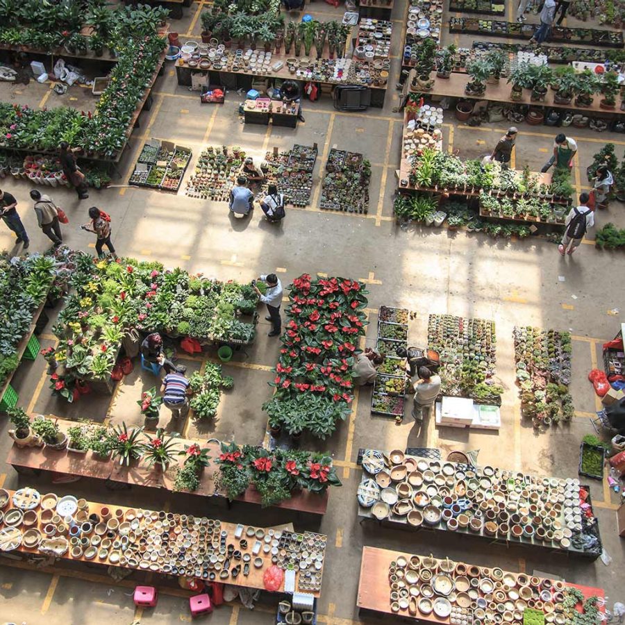 Aerial view of a neat flower market