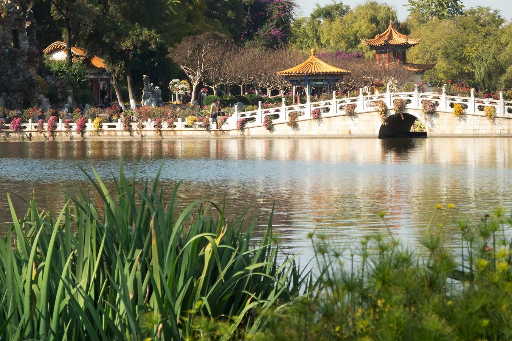 Bridge over a river
