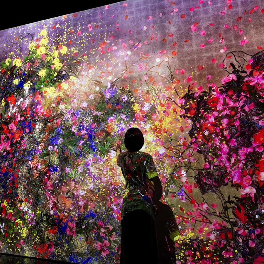 TeamLab creations