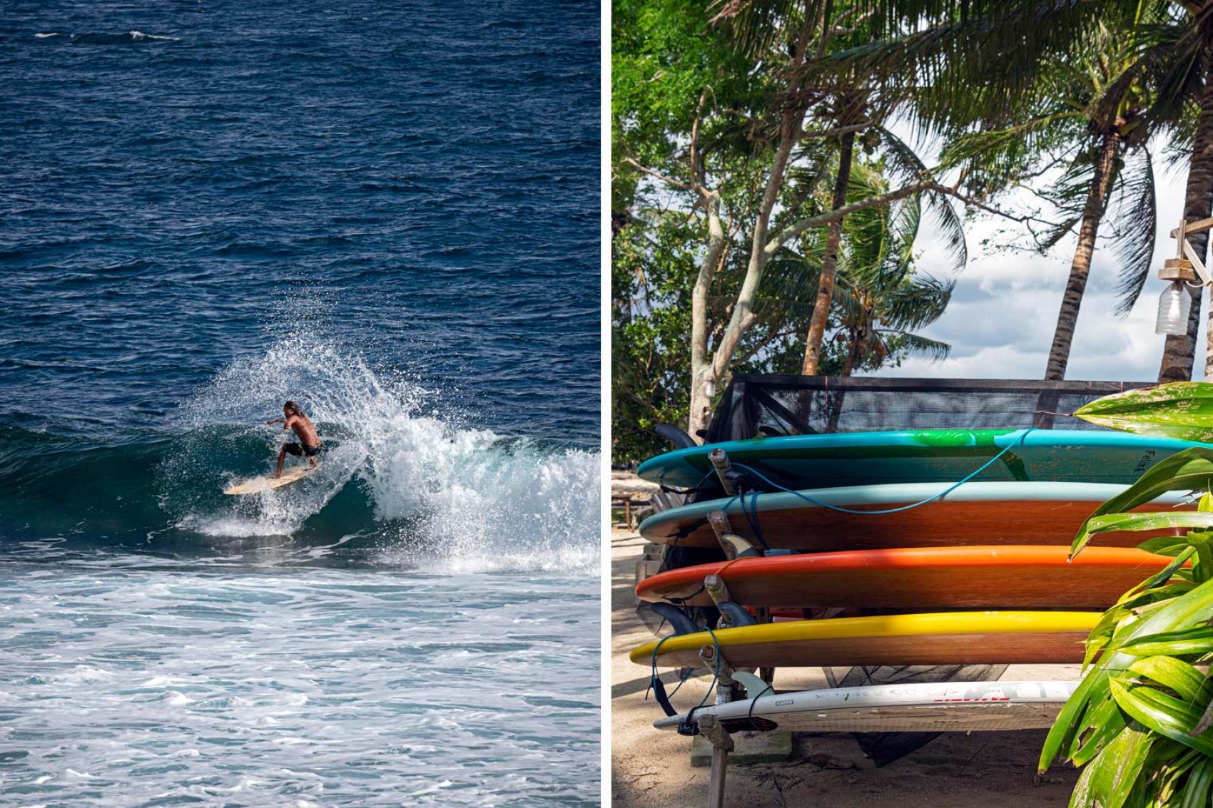 surf