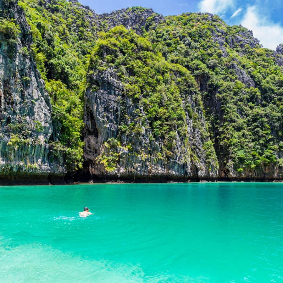 Snorkel diving at Phi Phi Island in Phuket, Thailand