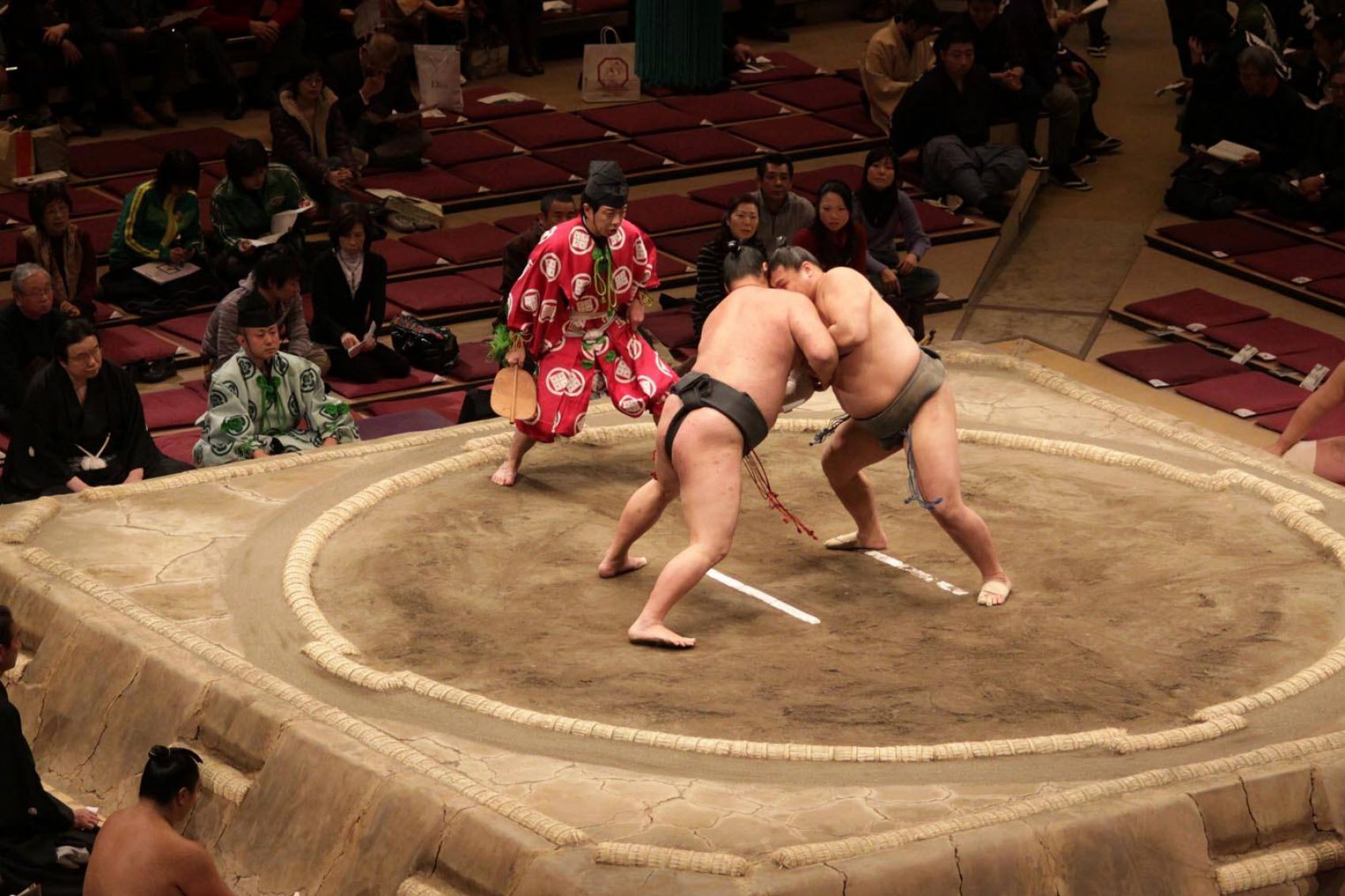 Sumo wrestlers. Credit: Shutterstock