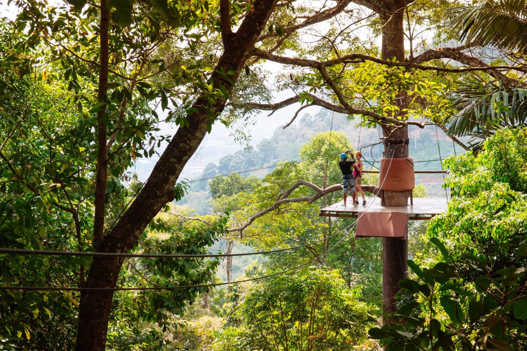 A few tourists on the zip line in the tropical forest-canopy in Phuket