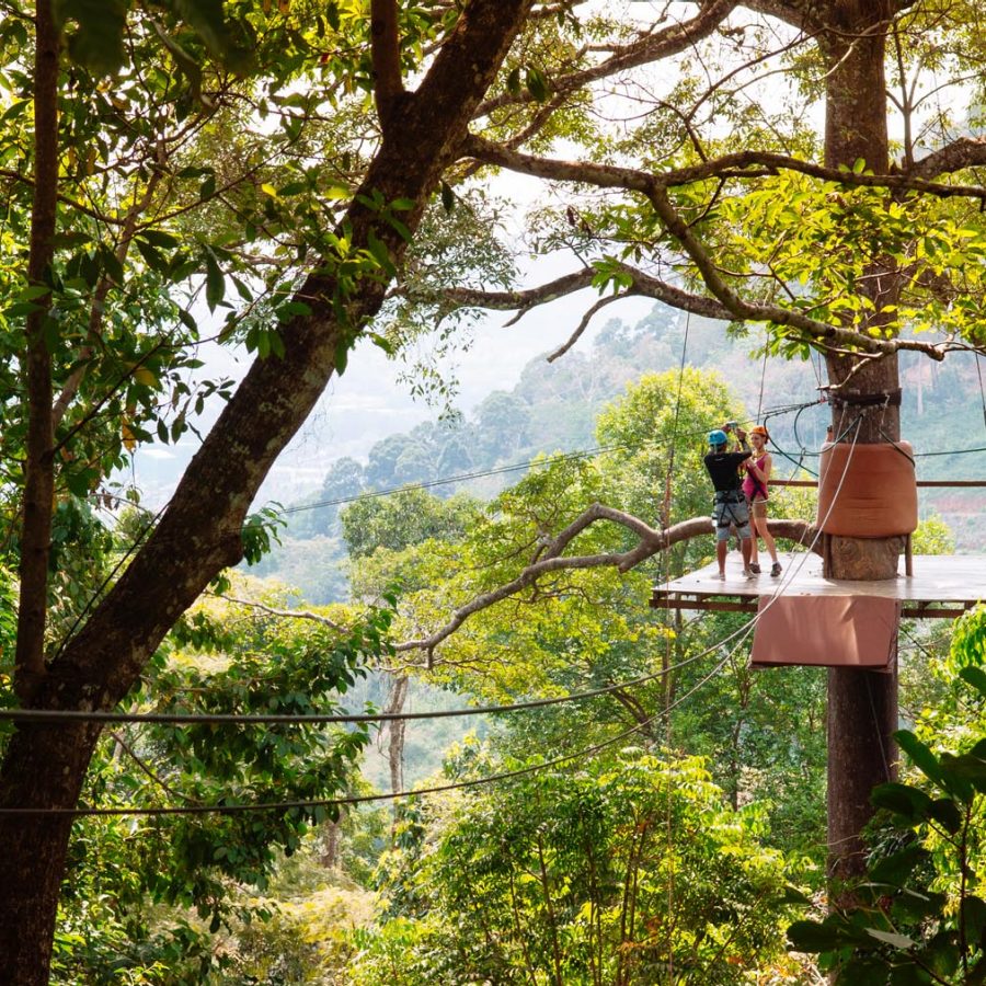 A few tourists on the zip line in the tropical forest-canopy in Phuket
