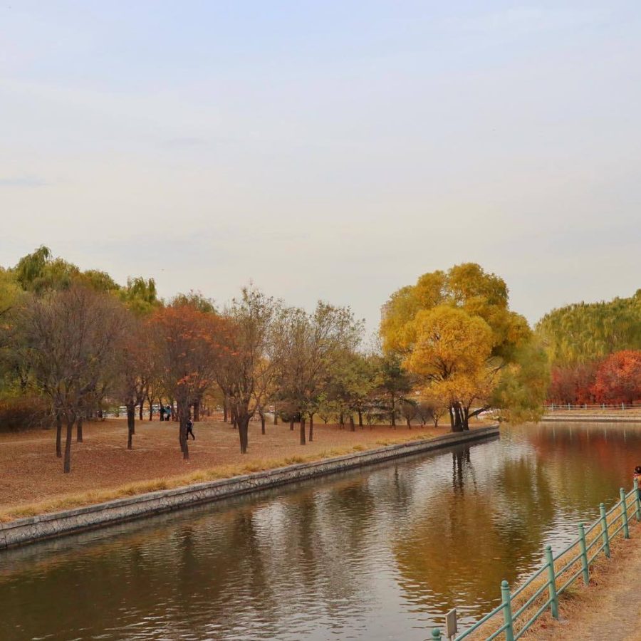 Chaoyang Park