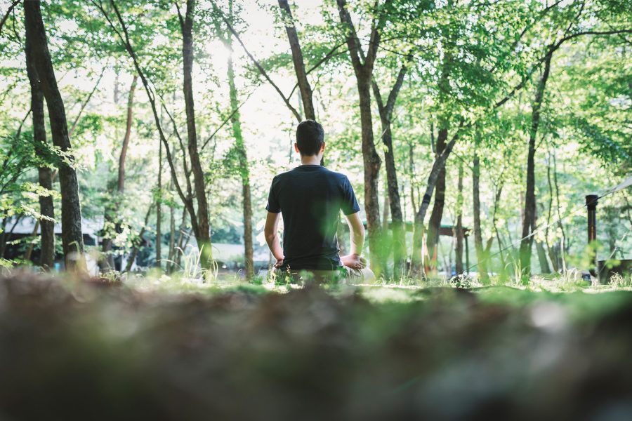Man sat in forest. Credit: Getty Images