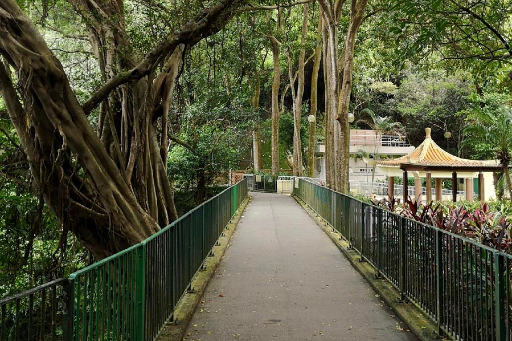 Bowen Road. Credit: Getty images