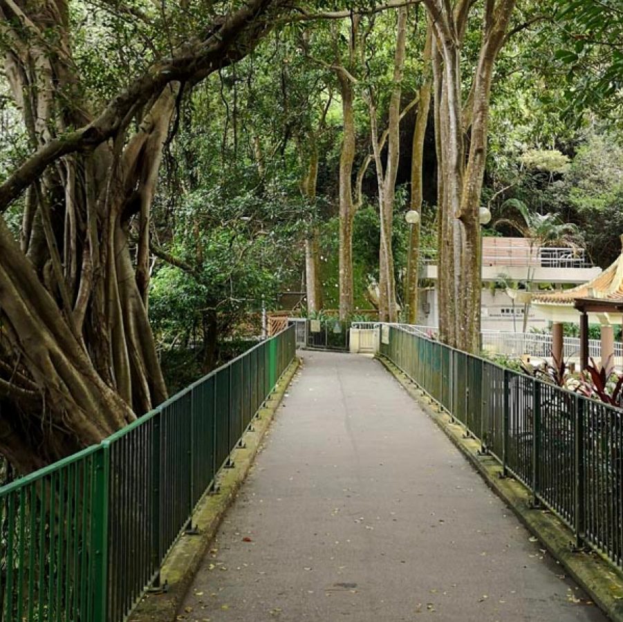 Bowen Road. Credit: Getty images