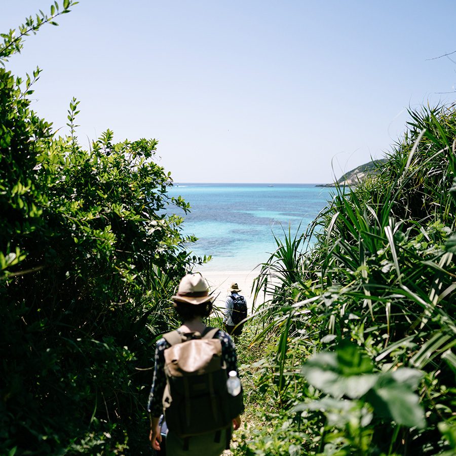 People walking down path towards beach