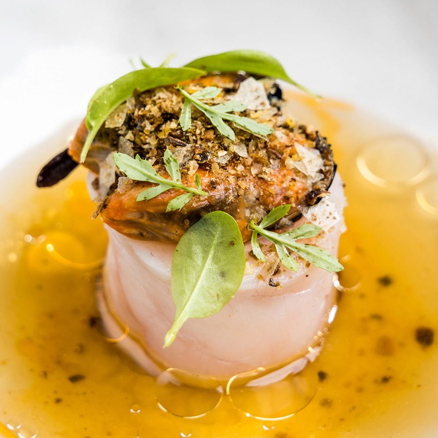 Scallop