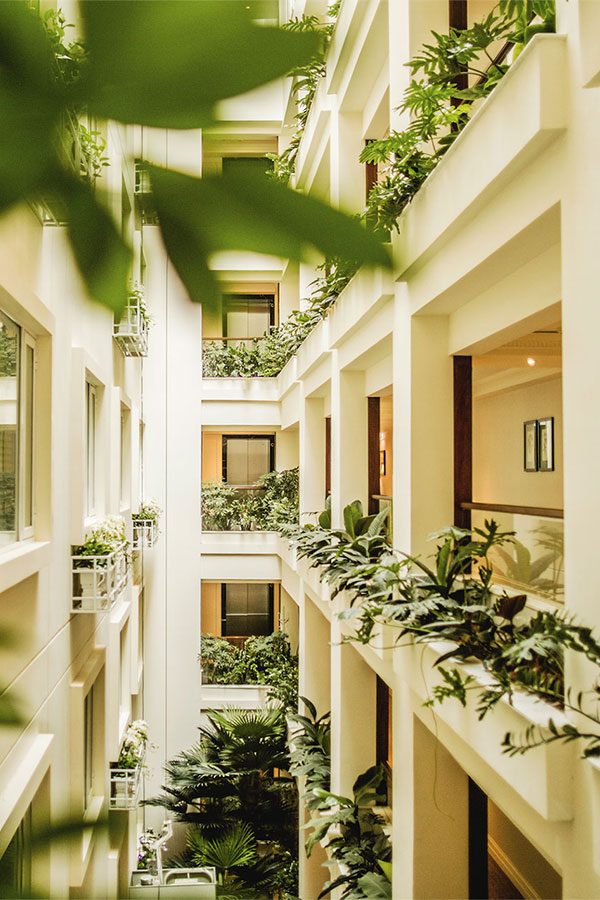 Apricot hotel corridor