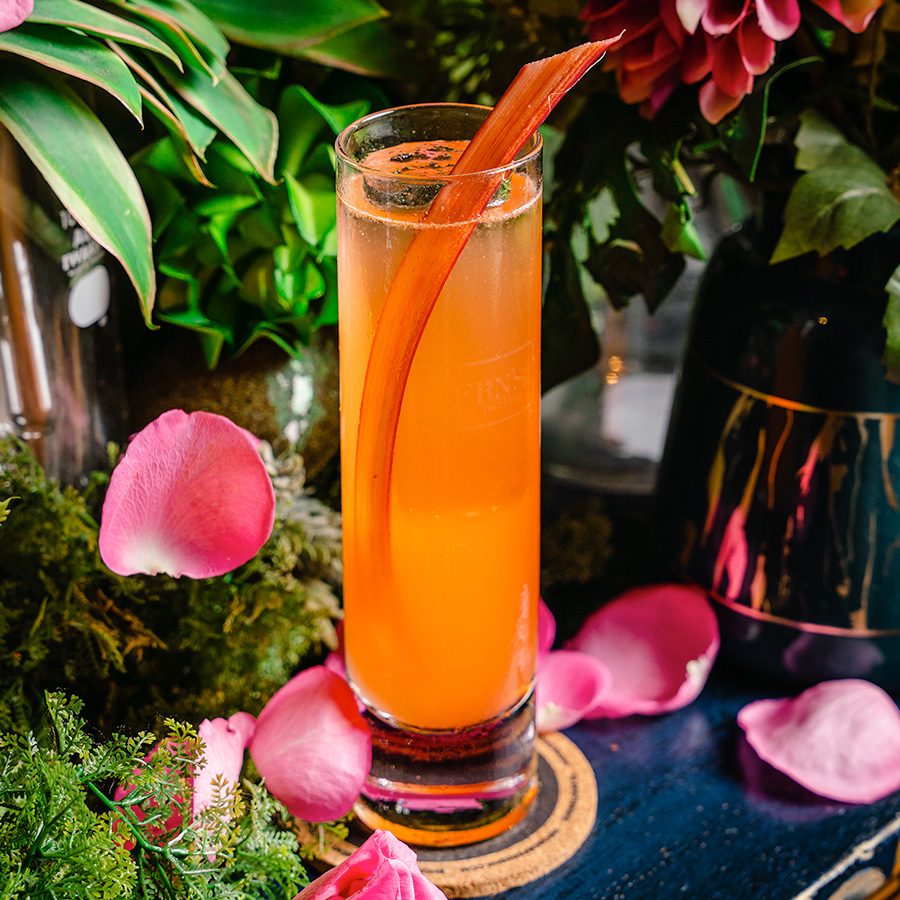 Cocktail at foxglove