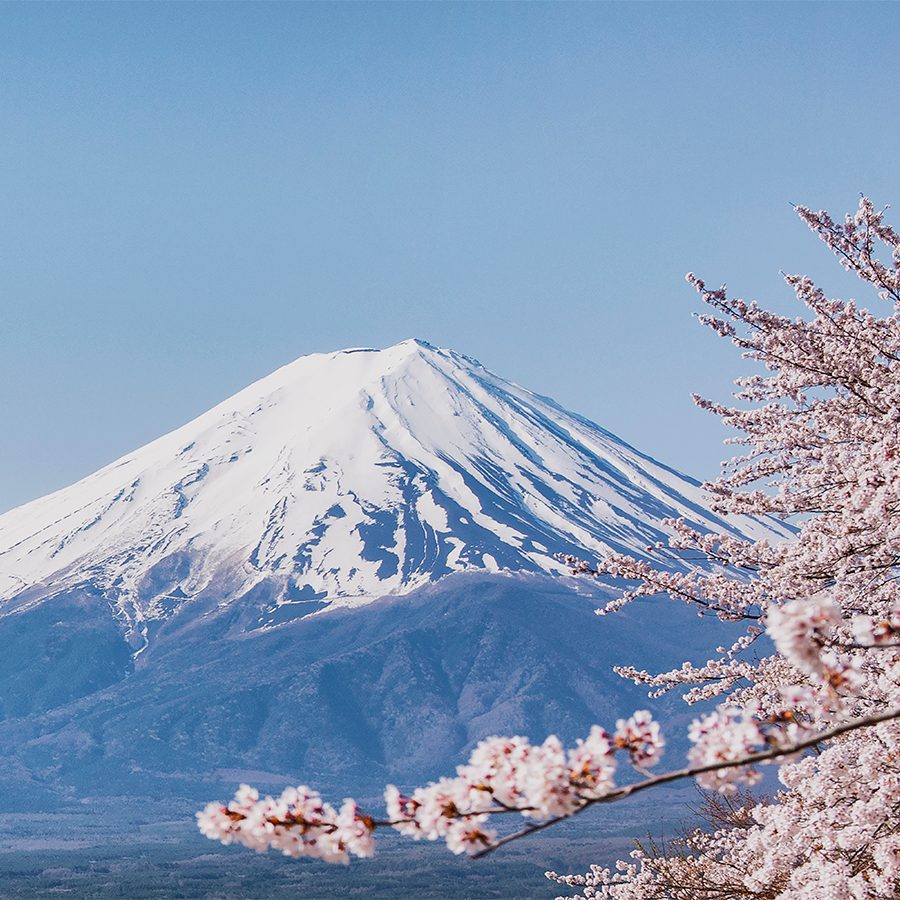 Fuji marathon Credit: Getty Images