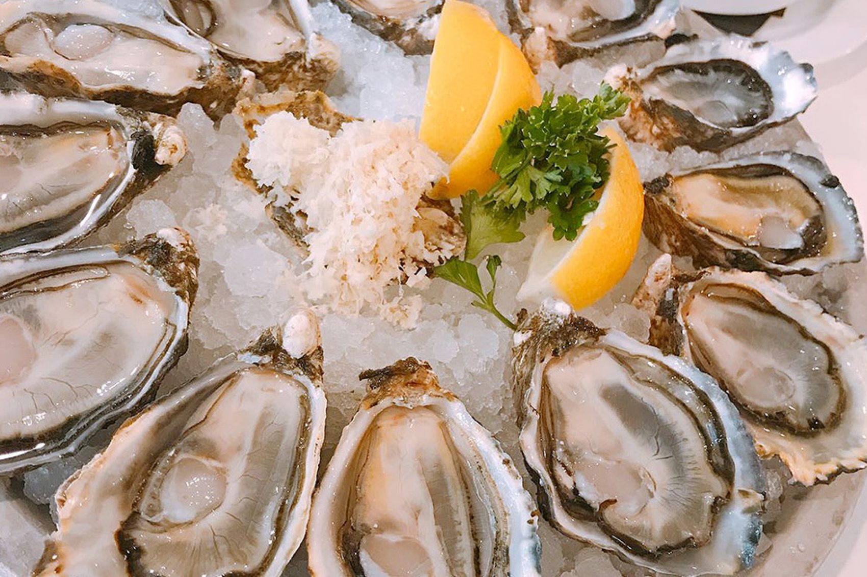 Oysters at Vancouver Shellfish public market