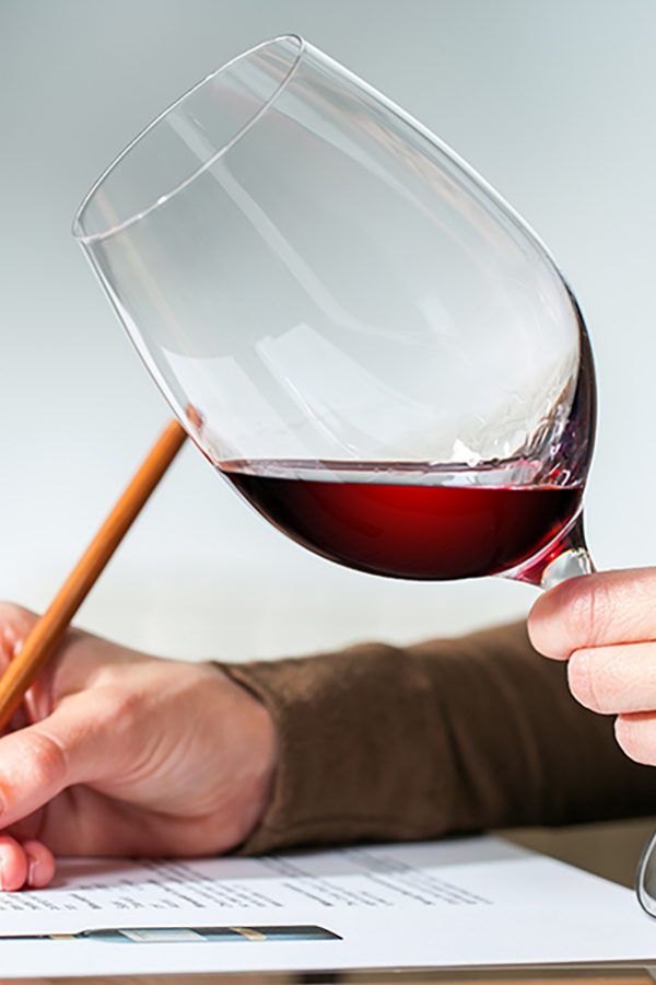 French wine guide