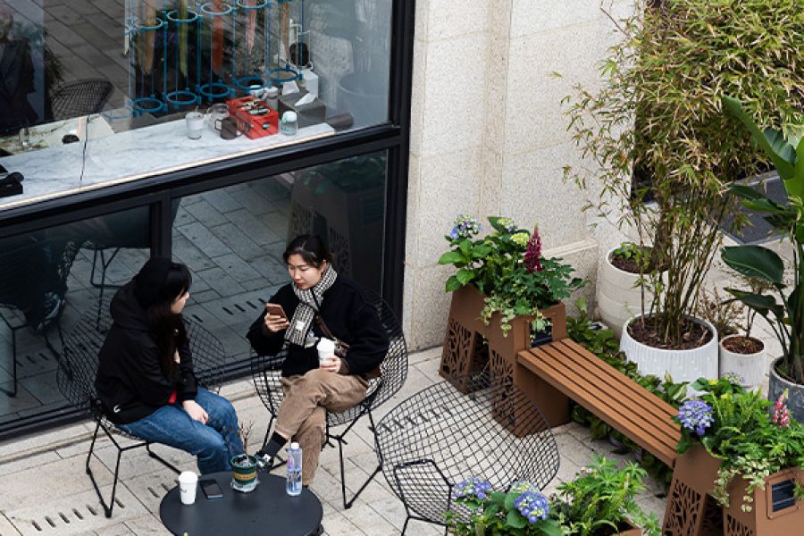 Shanghai cafe