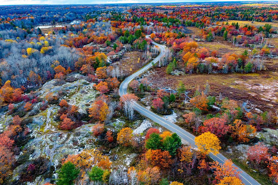 Cambridge forest road. Credit: Getty Images