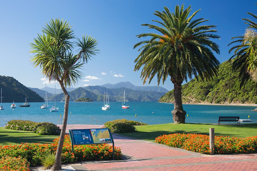 Picton trees. Credit: Getty Images