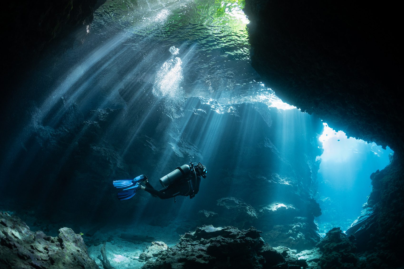 Dive sites in Adelaide
