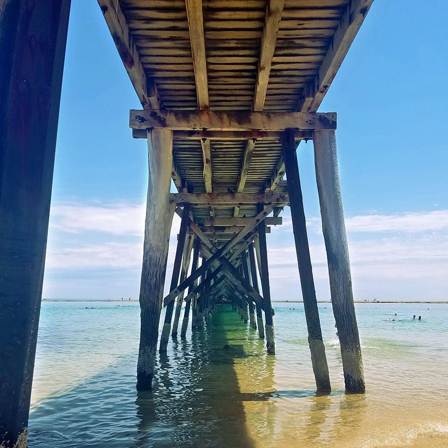 Port Noarlunga Reef