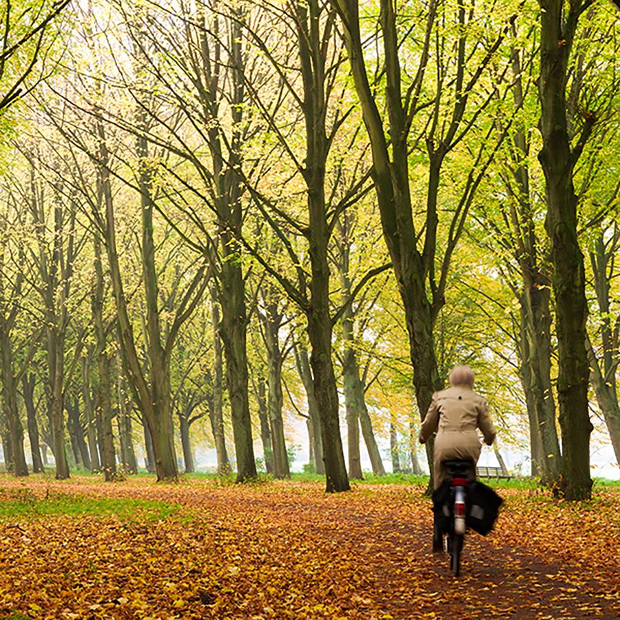 Amsterdamse Bos