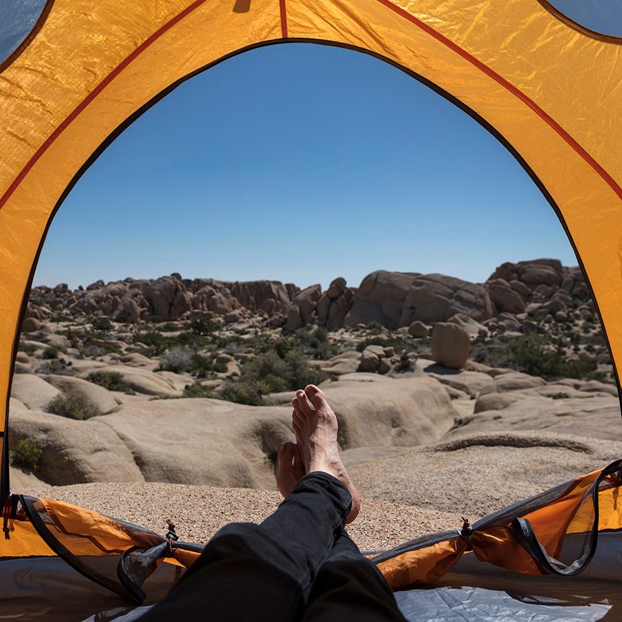 Joshua Tree