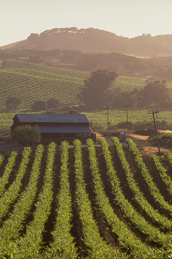 Napa Valley
