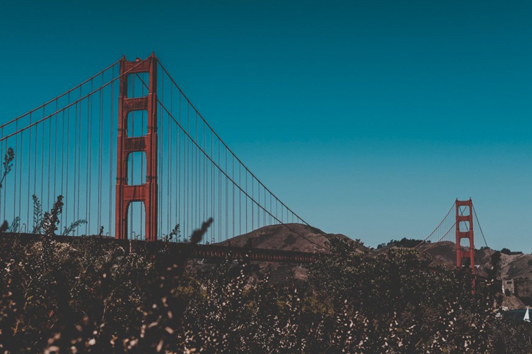 San Francisco hero