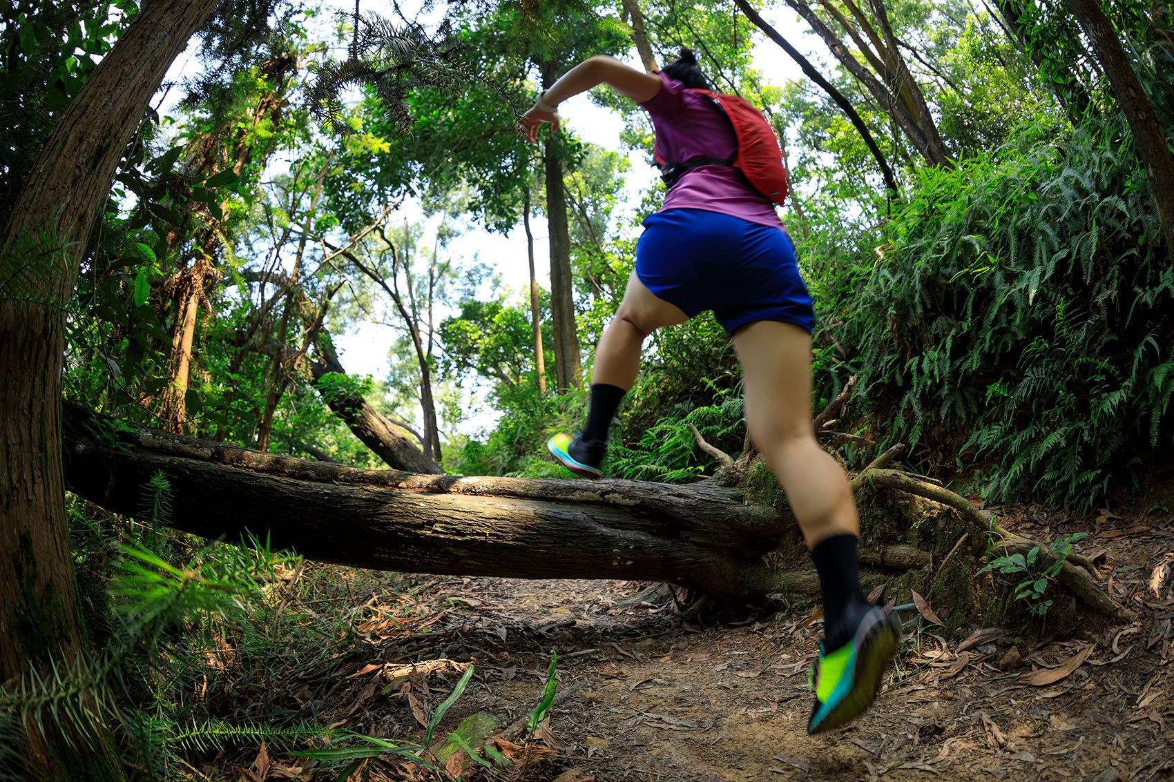 Trailrunning through the forest. Credit: Getty Images