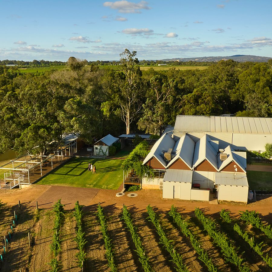 Swan Valley