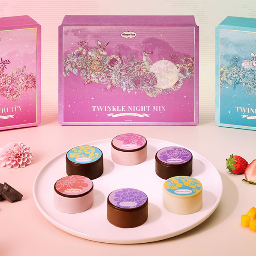 Haagen Dazs mooncakes