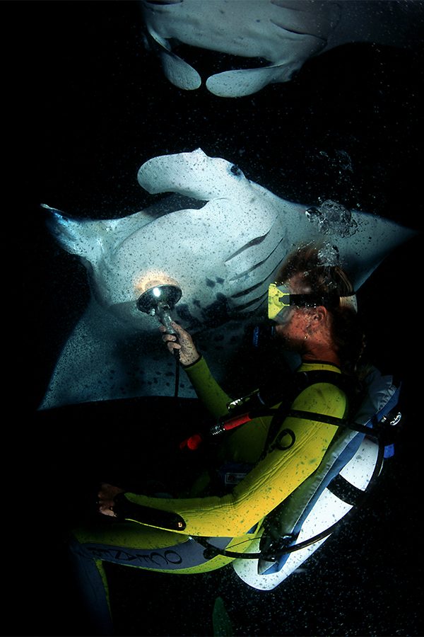 A woman wearing yellow scuba diving gear swimming underwater with a flash light exploring sting rays in the dark in Kona, Hawaii 