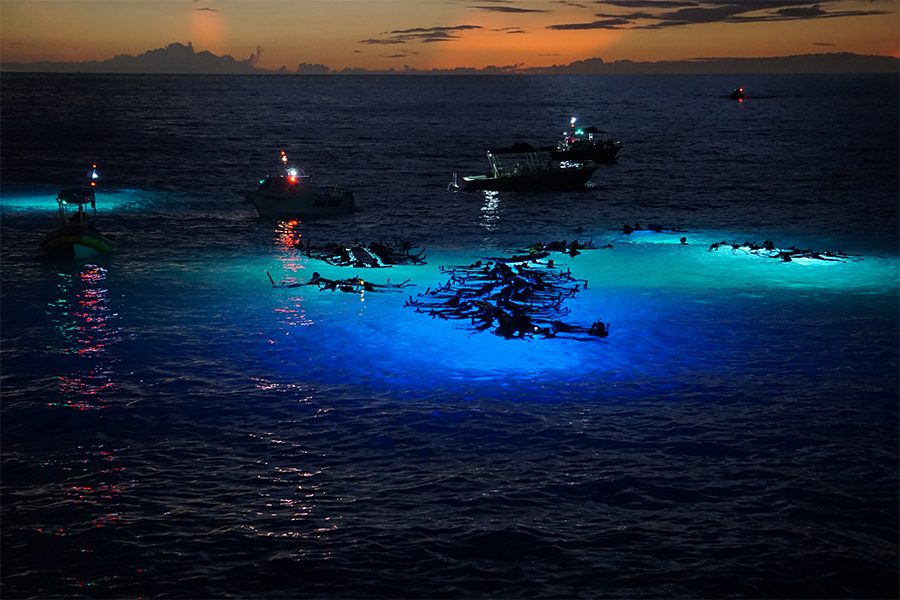 A group of boats in open sea at night shining light into the ocean to view sea creature in Kona, Hawaii
