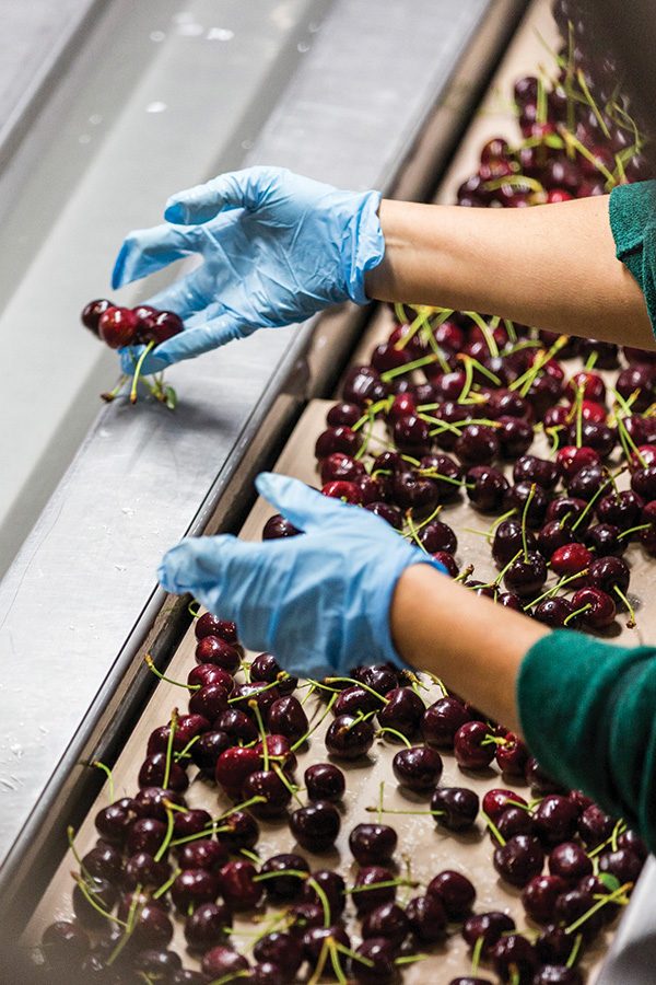 many cherry