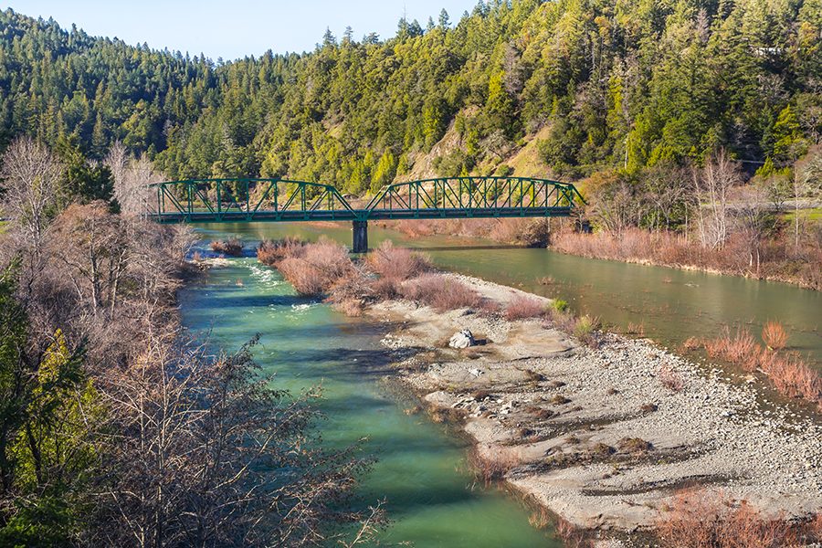 Avenue of the Giants