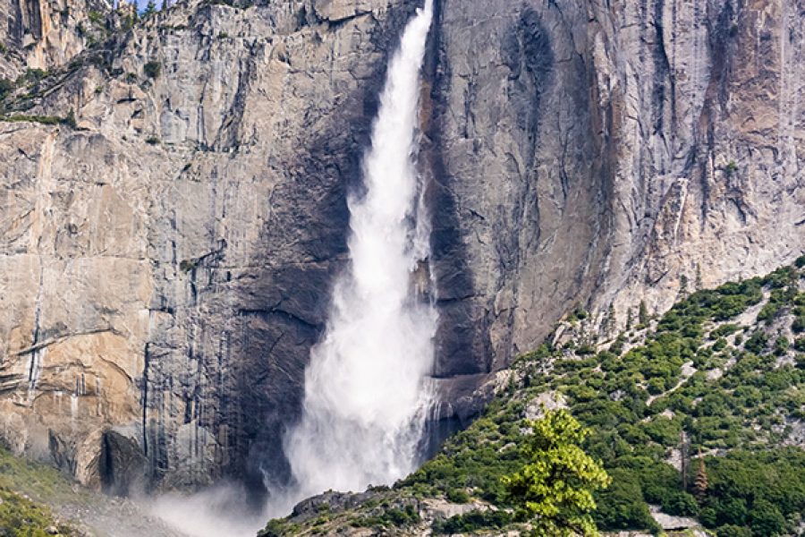Yosemite, Kings Canyon, Sequoia and Death Valley National Parks