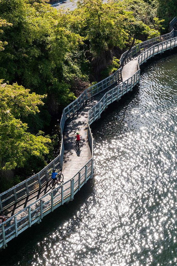 Hamilton Gardens