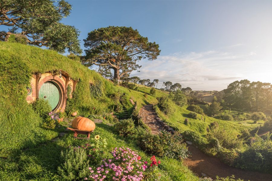 5 easy day trips from Auckland North Island courtesyimages