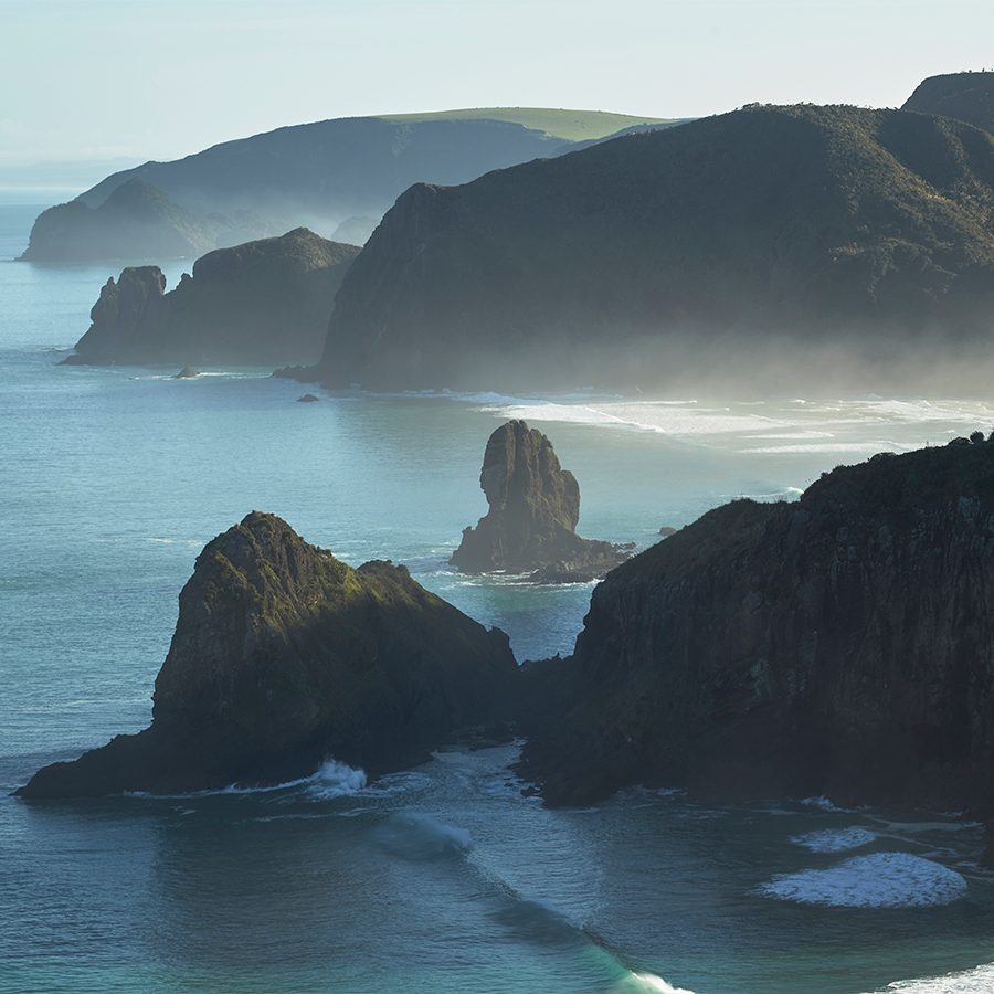 Wild West Coast beaches: Muriwai, Te Henga/Bethells, Karekare, and Piha 