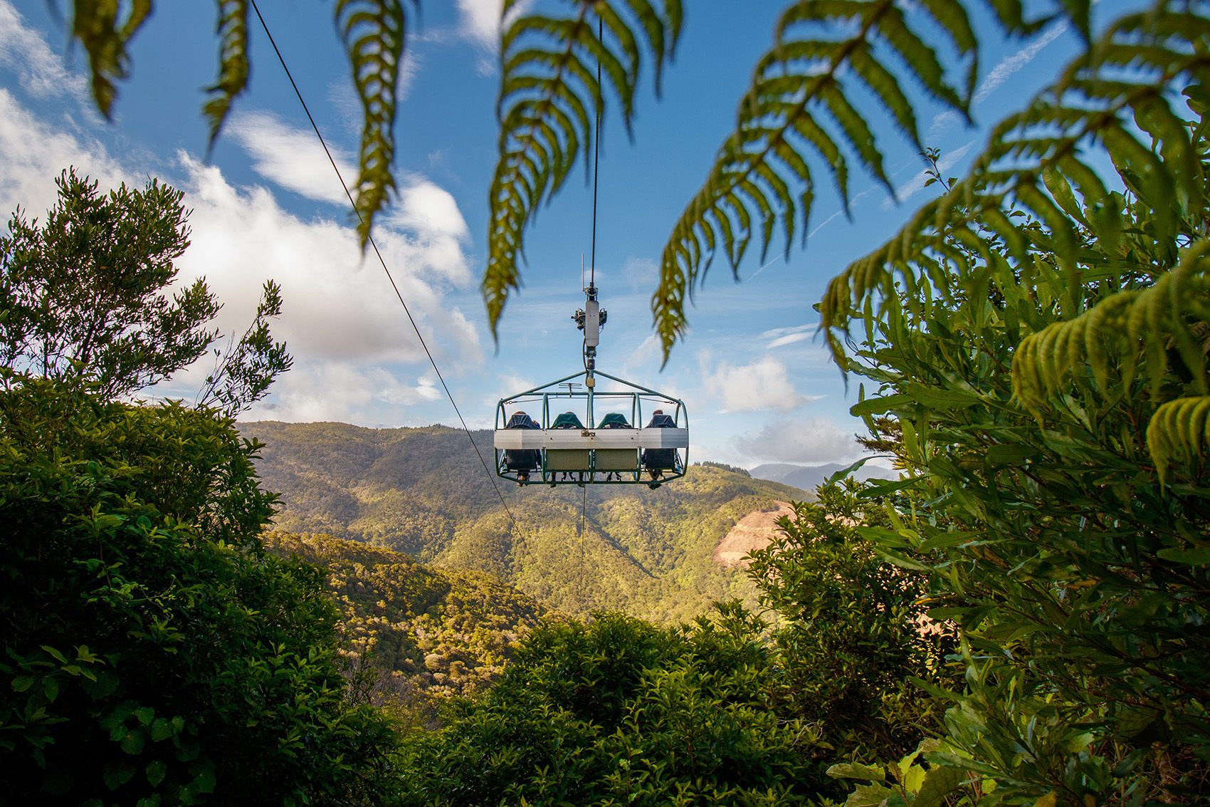 Nelson: Cable Bay Adventure Park Skywire and Mountain-biking  