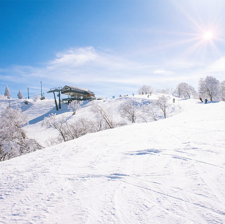 Snowy slopes